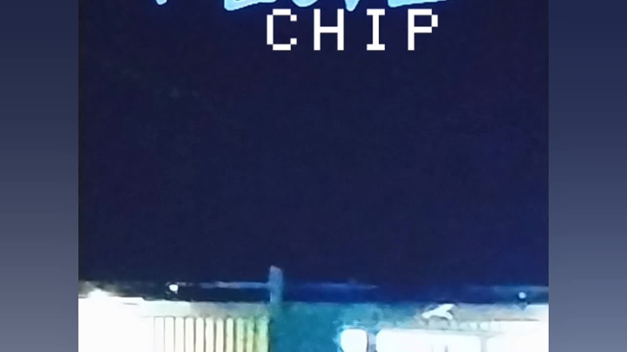 I LivE - Chip