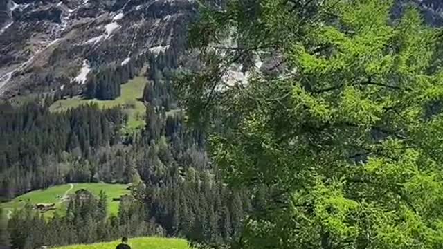 Swiss snow-capped mountains