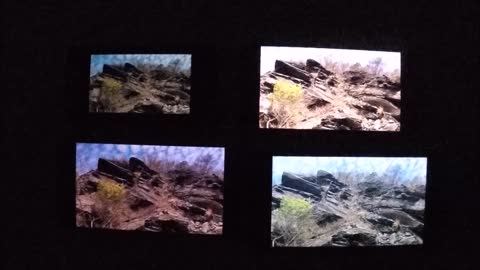 17_0514 Smart Phone Display