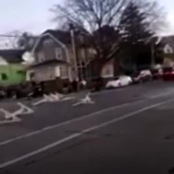 Officers Appear to Fire on Red SUV Fleeing Scene in Waukesha