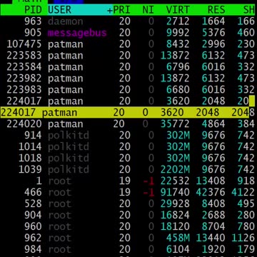 linux: htop