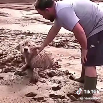 PERSEVERANCE IN PRAYER - DAILY DEVOTIONAL ❤️