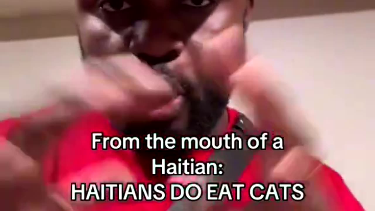 MAGA Haitian Acknowledges That Some of His Countrymen Definitely Eat Cats