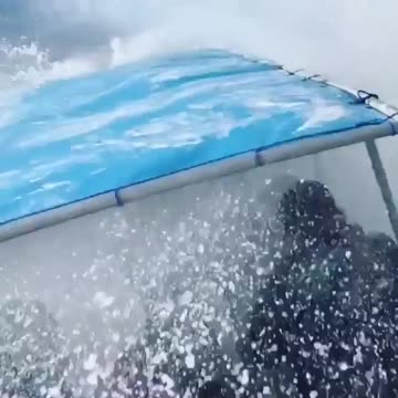 Close encounter with humpback whale 🐳