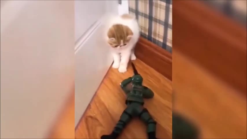 CAT SCARED BY THE TOY SOLDIER