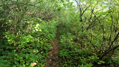 🫛 Welcome To Conroy Pit Trails Part 1#20 In Ottawa 🍁 Canada 🌻