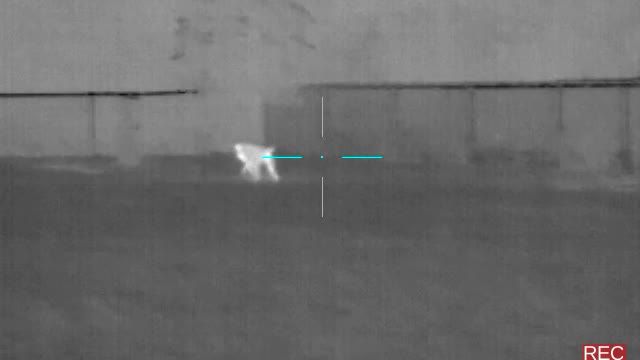 Testing a Flir Pts 233