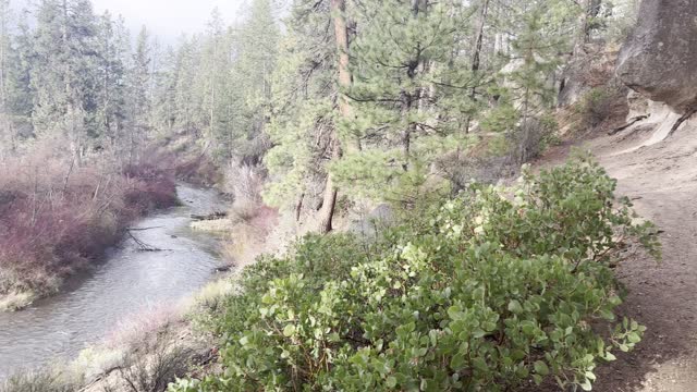 Hiking Under Lookout Perch to the Caveman Geological Section – Deschutes River Trail – 4K