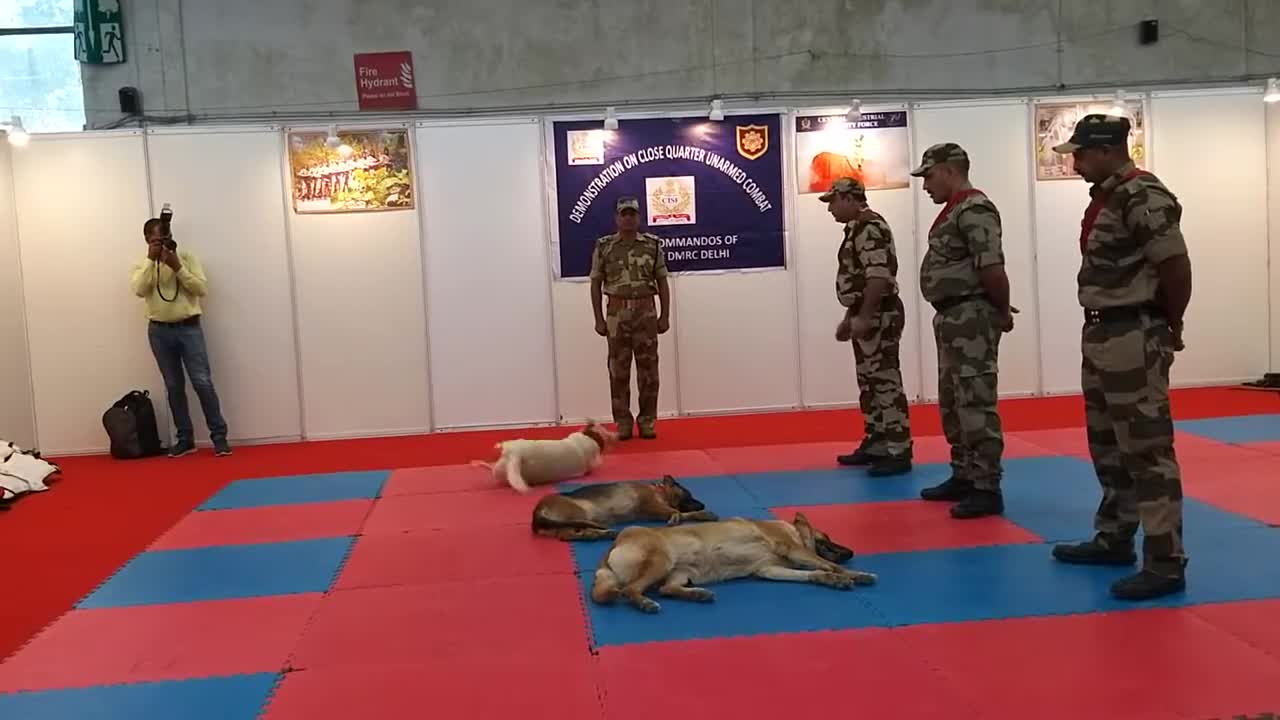 CISF demonstration of Dog Squad