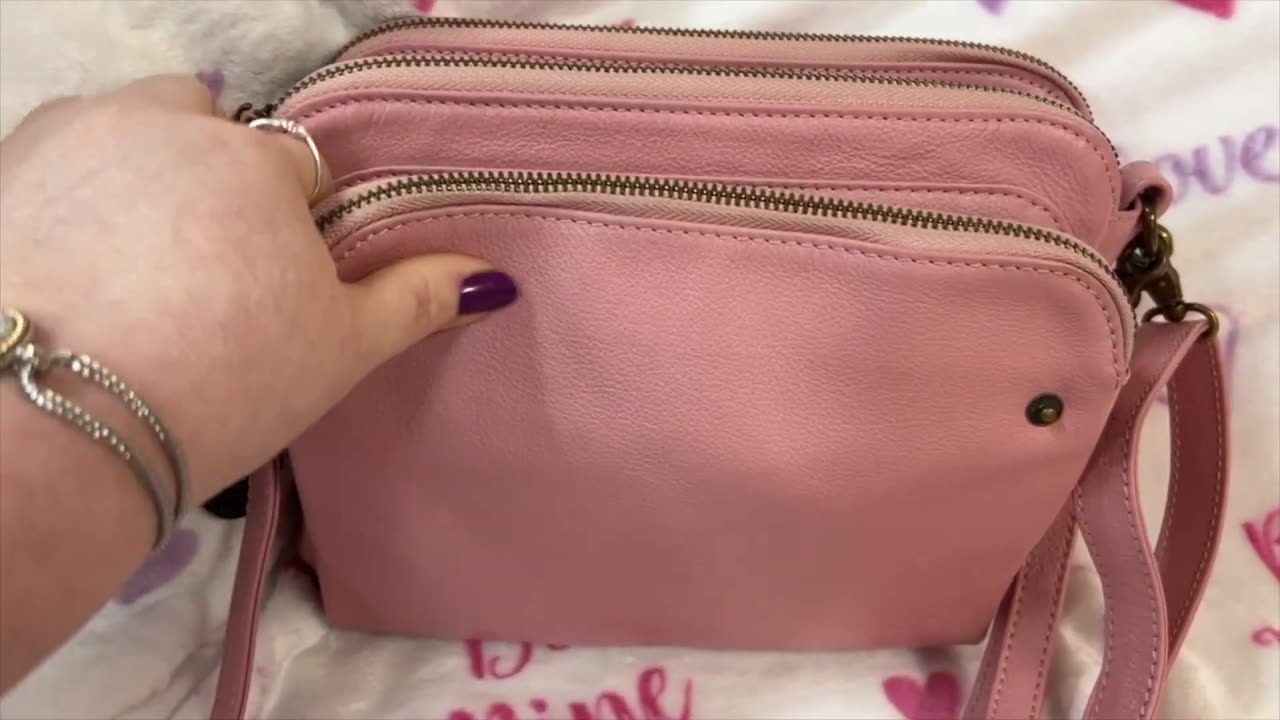 What's in my Pink Minooy Crossbody Bag/Review. Tons of Organization!