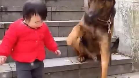 The Cutest Babysitter Ever! #cutebaby #dog #cat #cute #kitten #pets