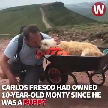 Hombre lleva a su perrito moribundo a su montaña favorita en una carretilla