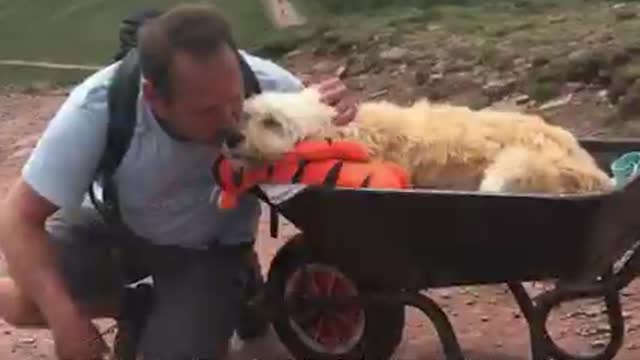 Hombre lleva a su perrito moribundo a su montaña favorita en una carretilla