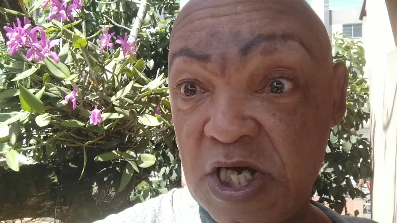 As novidades aqui 20/09/23.