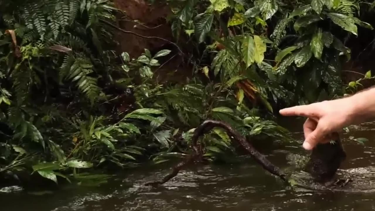 Navigating Rainy Trails: A Journey to the Karwai People