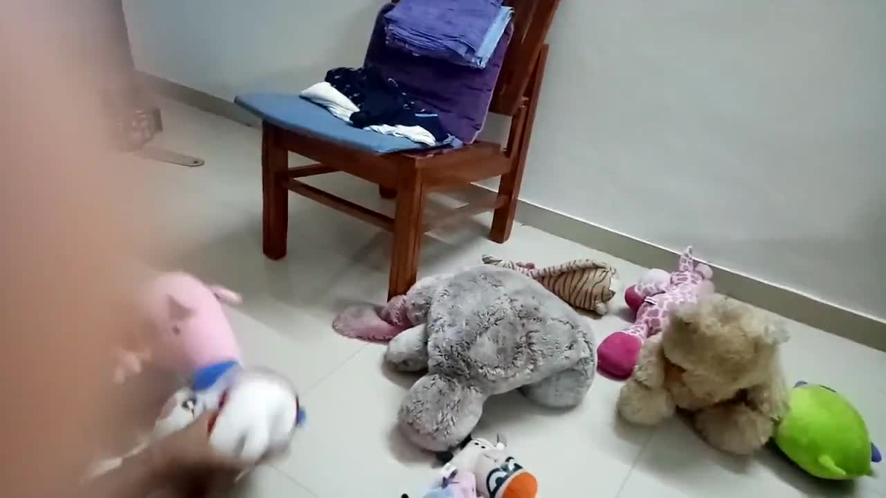 Toy Story during the quarantine
