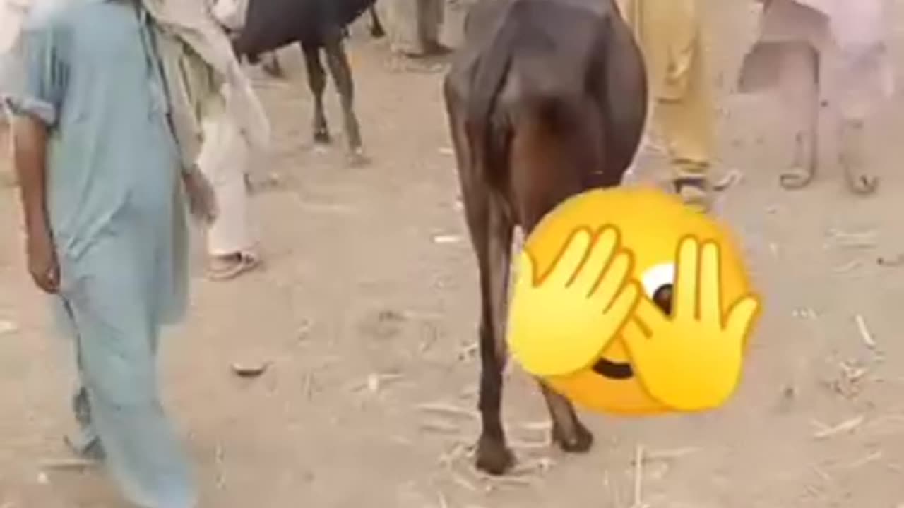 Funny