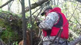 Calf Rescued from Steep River Bank