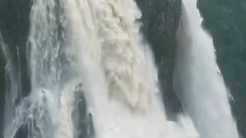 Witness the Majesty: Jog Falls, India's Niagara! 🌊🇮🇳👀📸✨🍃