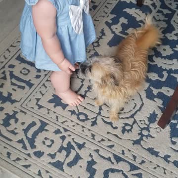 Baby girl hugging her dogs!!