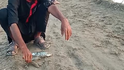 Fish Hunting 😂 (A new way of fishing) Please follow my Rumble channel