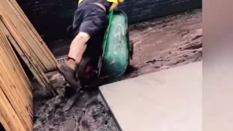 funny videos- Let's laugh a little 🤣