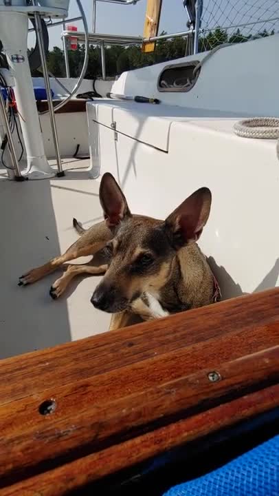 Murphy's Day Off in the Sun