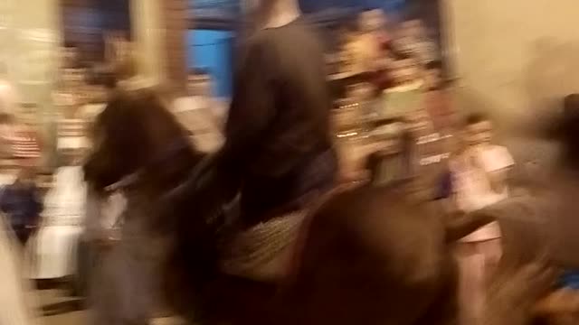 Horse dance2