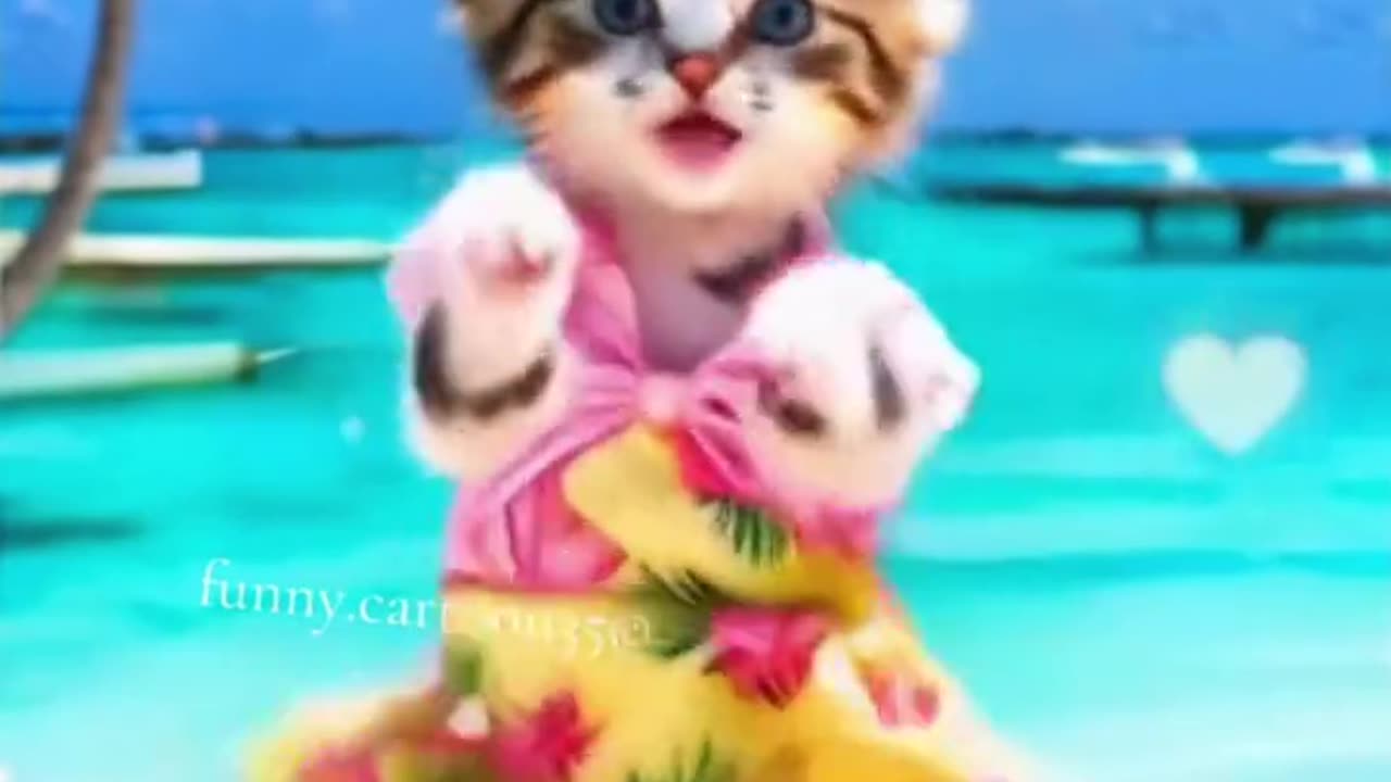 Cute Cats Dancing Videos #catfuuny #shorts