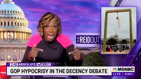 MSNBC's Joy Reid Accuses The Right Of Being Uncivil In MASSIVE Display Of Hypocrisy