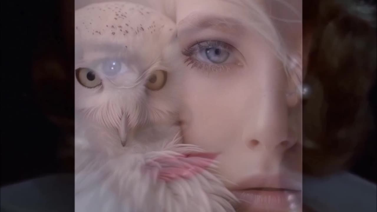 Ąűŝłãŋɗ3ř řæů§ Du