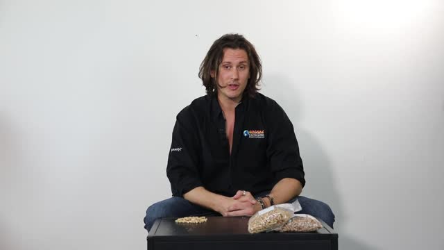 Hardwood vs Softwood Wood Pellets