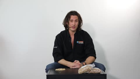 Hardwood vs Softwood Wood Pellets