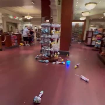 False Report of Active Shooter At Disney, Chaos and Damage Resulted!