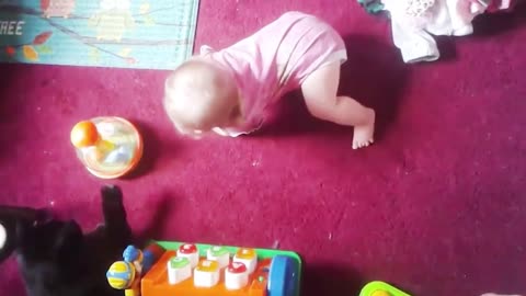 Funny Baby and Cat Video