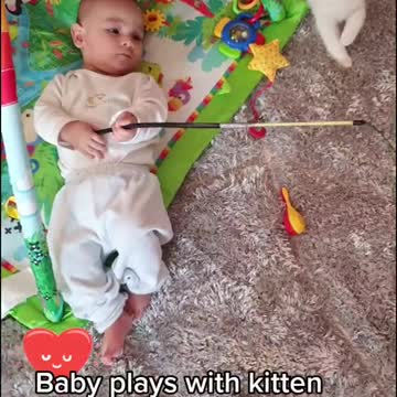 compilation | baby animals 79 | cute animals 79 | kids #shorts