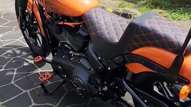 Fxbbs after bath, I might be biased but...