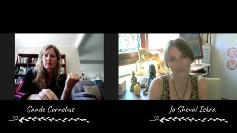 Akashic Records Reading - Sande Reads Jo's Akashic Records