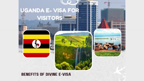Seamless E-Visa Services by Divine Associates Ltd