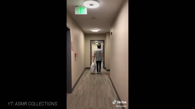 Funny tiktok videos