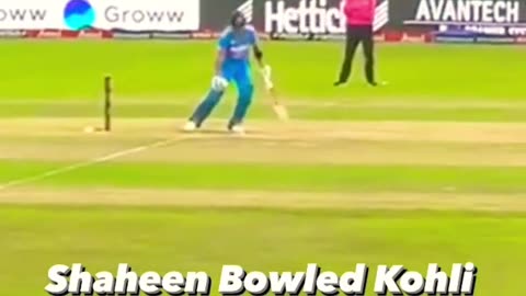 Creket shaeen vs kohali best bowlng