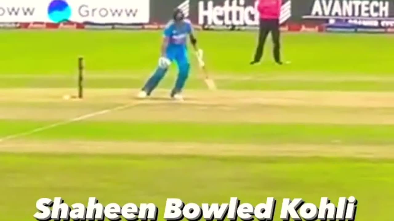 Creket shaeen vs kohali best bowlng