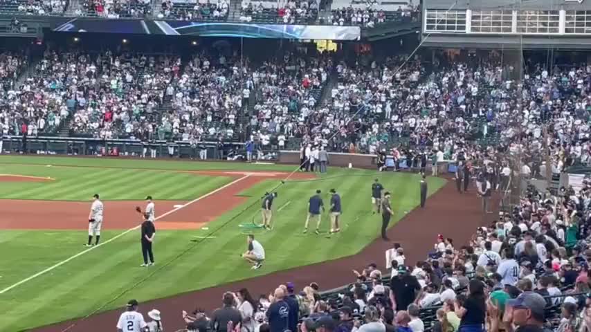 An Entire Baseball Stadium Just Booed Dr. Fauci