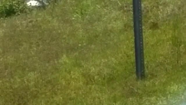 Moving Sofa Fiasco