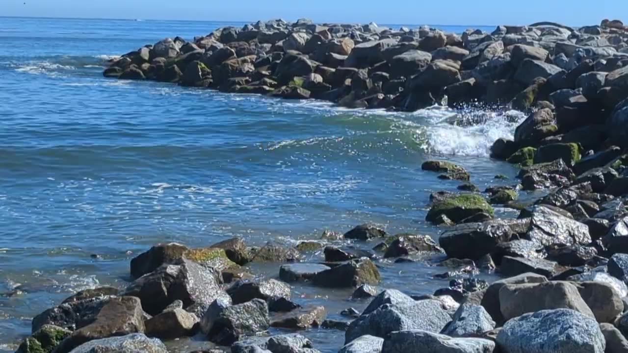 Tranquil Coastal Solitude