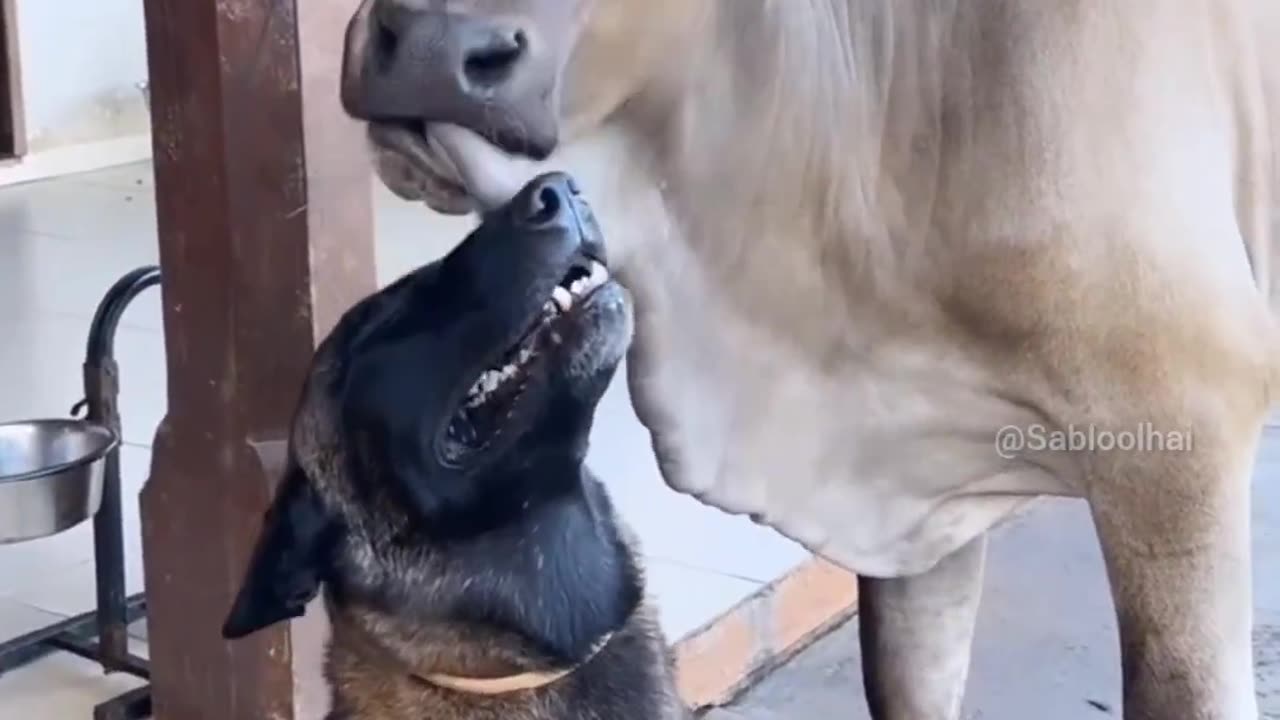 बहुत गर्मी लग रही है 🤣🤣🤣🤣🤣🤣 ऐऐऐऐ