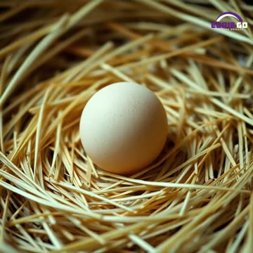 Adorable Pets in Hilarious Moments 🐶😺 You Can't Miss!