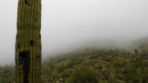 Hiking on a Rainy Day
