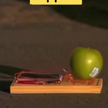 Mindset Shift: The First Step to Success