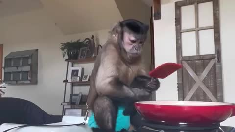 Cooking